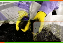 EV Battery Recycling: Climbing to the greener world EV battery recycling